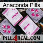 Anaconda Pills 33